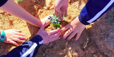 Captura de pantalla 2023-02-01 a las 18.47.00